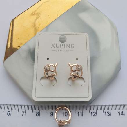 Сережки E1041